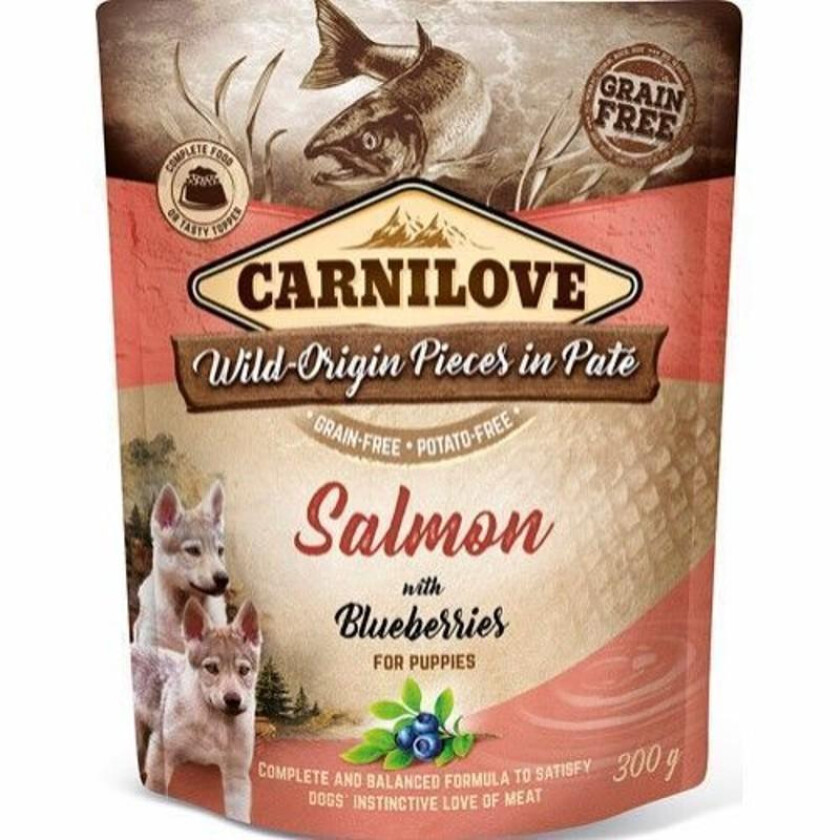 Carnilove Puppy Salmon with Blueberries Paté 300 g