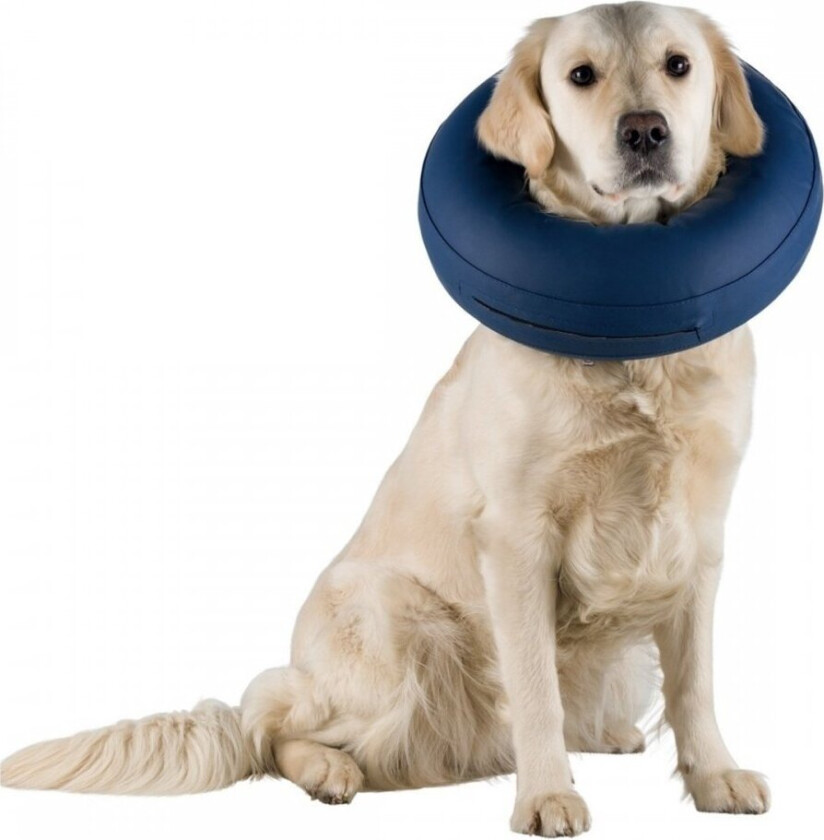 Protective Oppblåsbar Hundekrage (M/L)