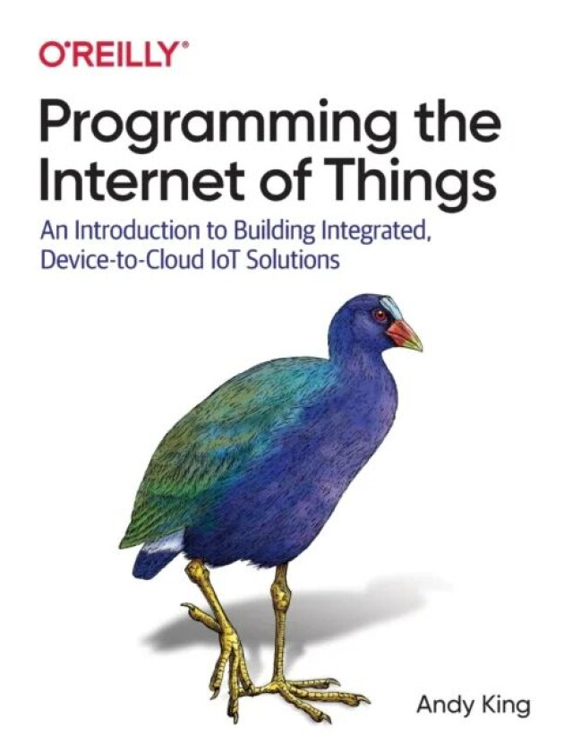 Programming the Internet of Things av Andrew King