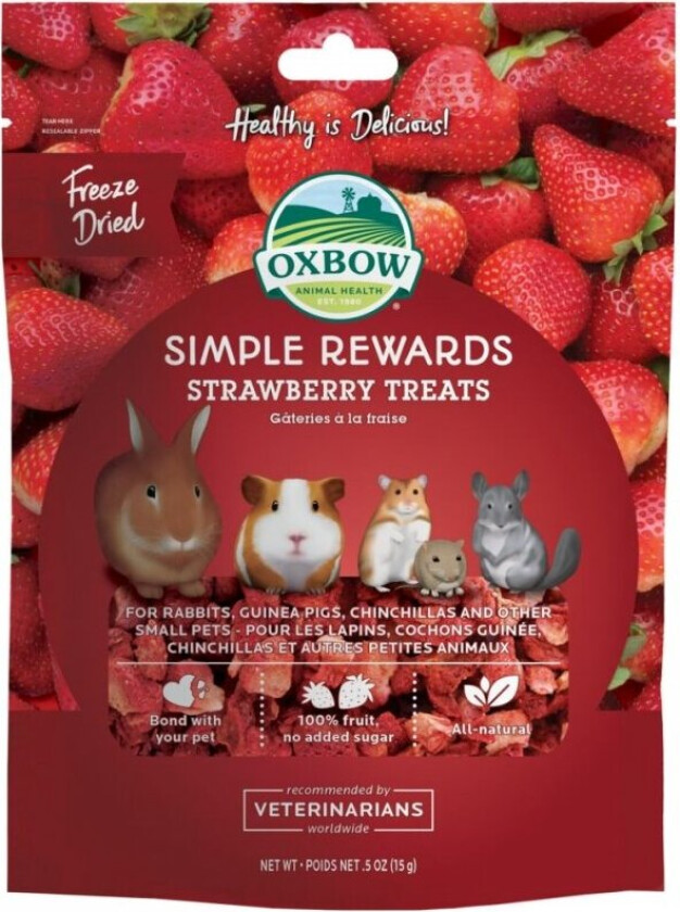 Simple Rewards Strawberry Treats 15 g
