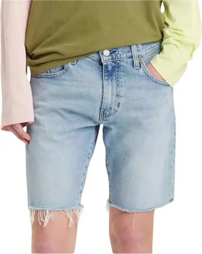 Herre, Shorts, Blå, W33