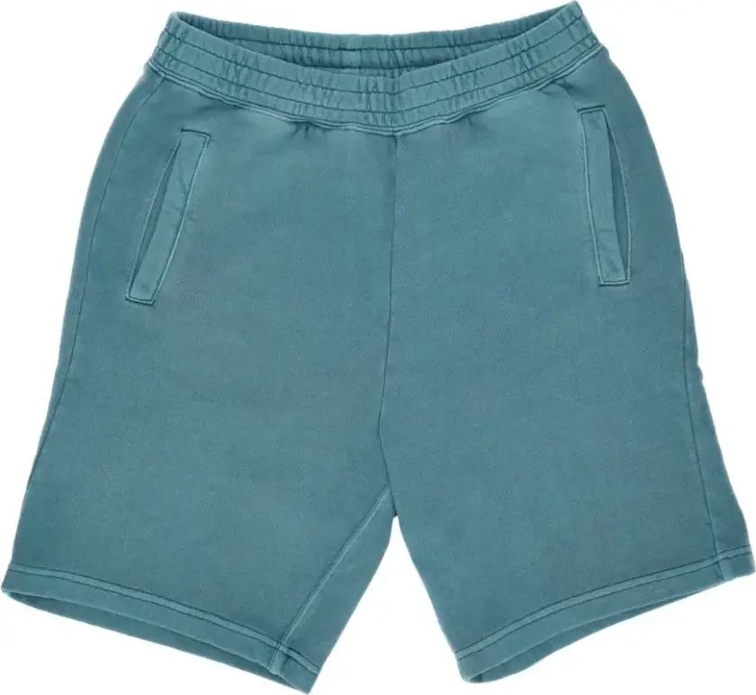 Carhartt Wip, Herre, Shorts, Blå, M