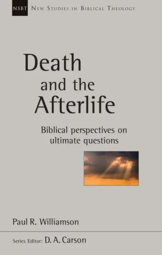 Death and the Afterlife av Paul R Williamson