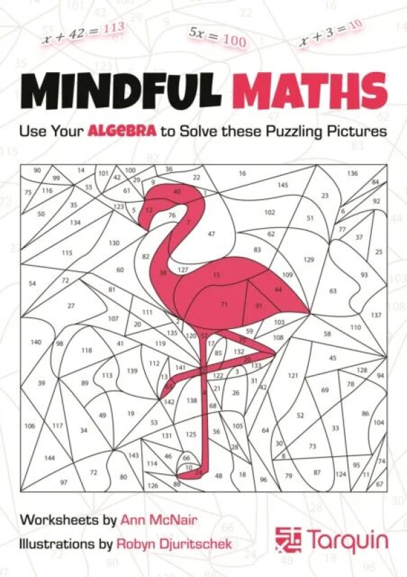 Mindful Maths 1 av Ann McNair