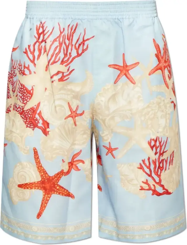 Herre, Shorts, Flerfarget, S