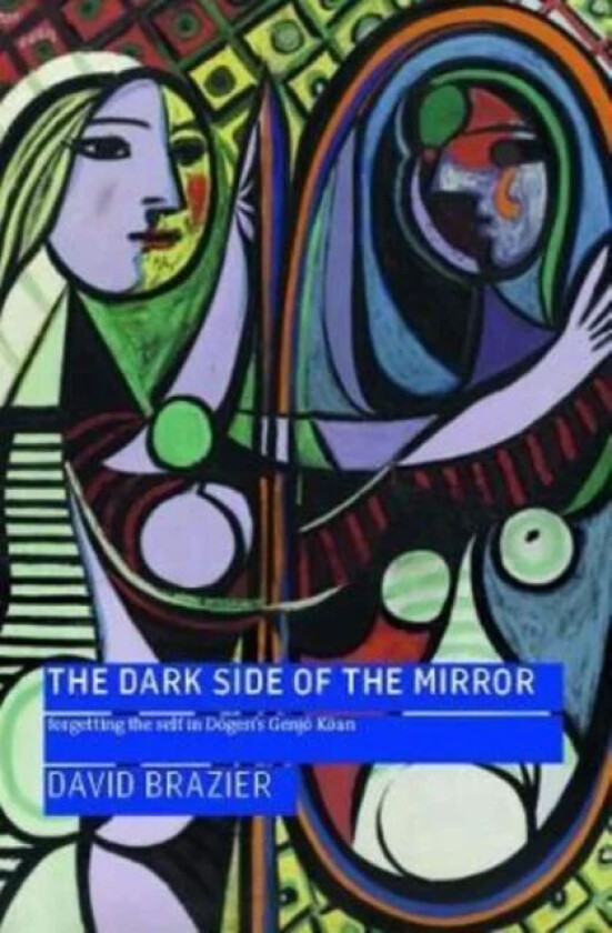 The Dark Side of the Mirror av David Brazier