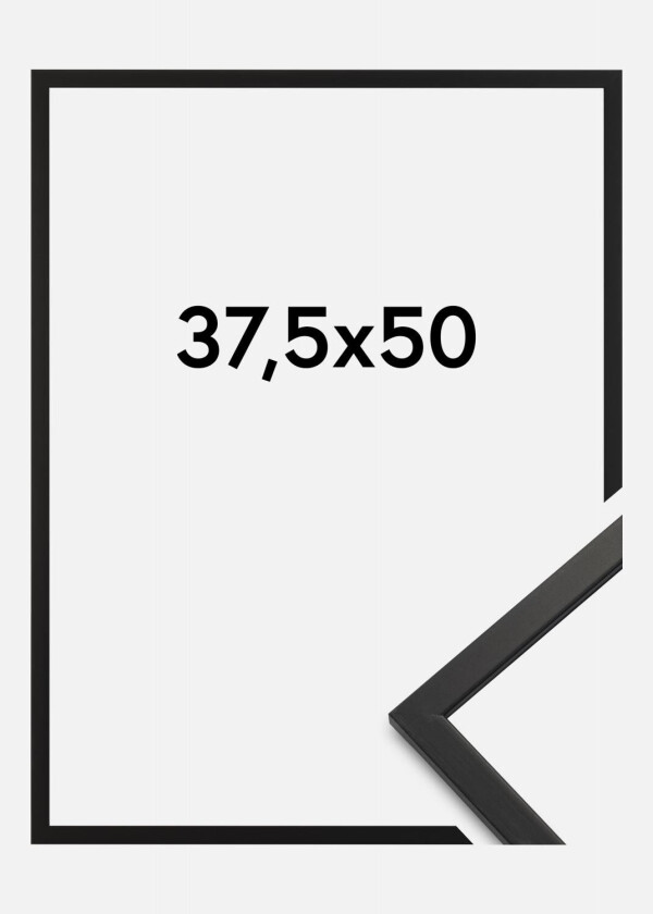 Ramme Edsbyn Akrylglass Svart 37,5x50 Cm