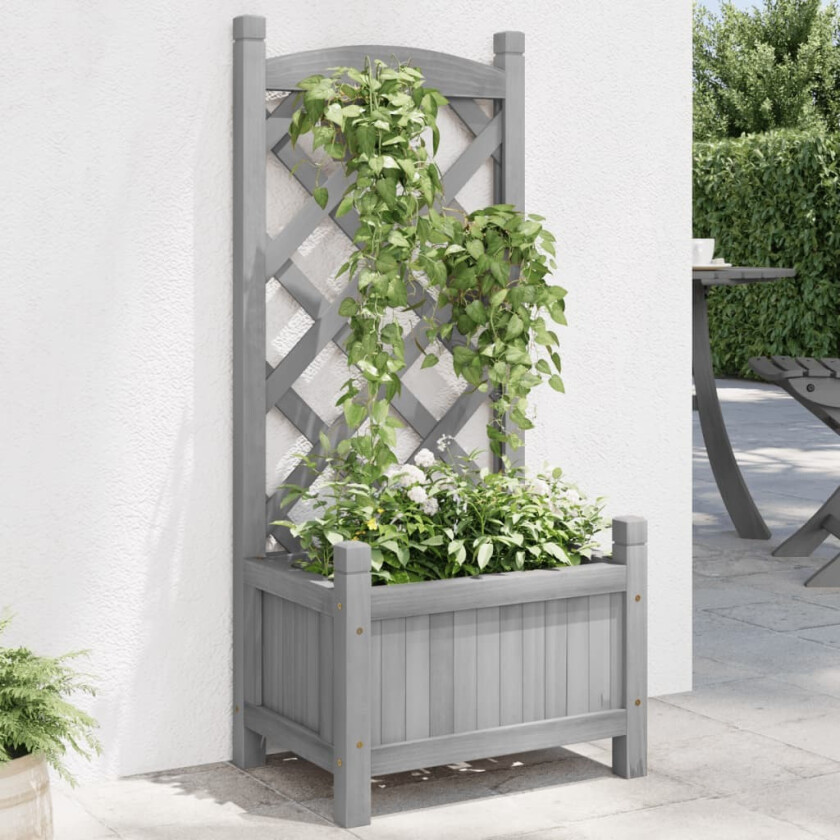 Plantekasse med espalier grå heltre gran