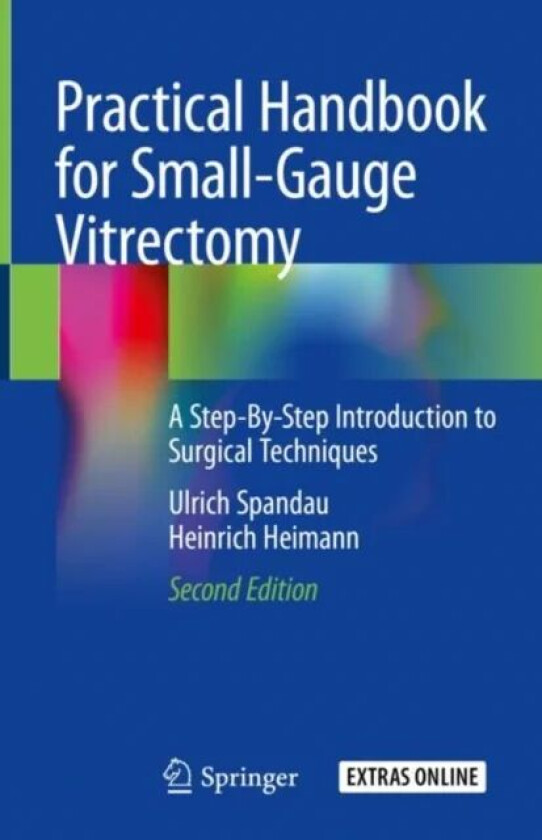 Practical Handbook for Small-Gauge Vitrectomy av Ulrich Spandau, Heinrich Heimann