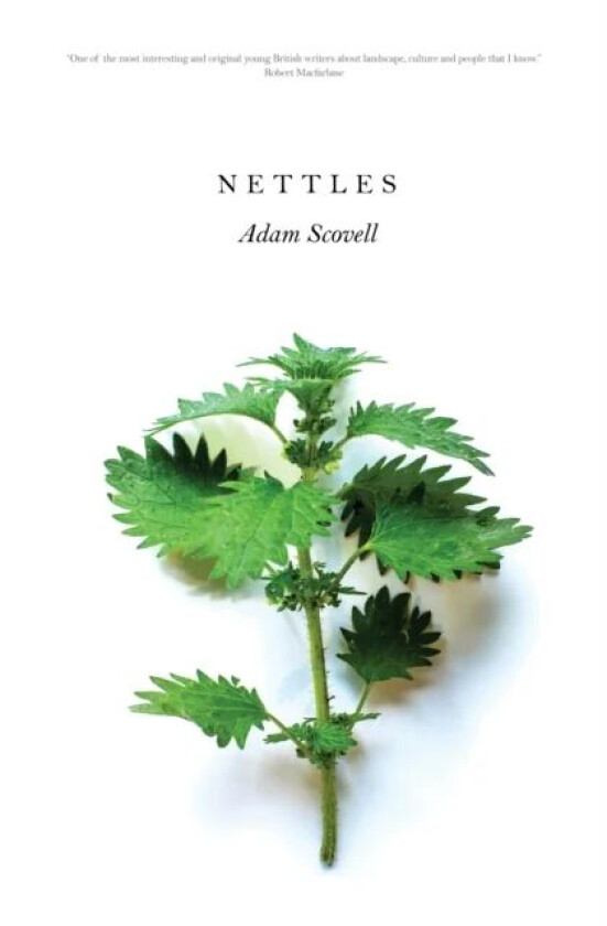 Nettles av Adam Scovell