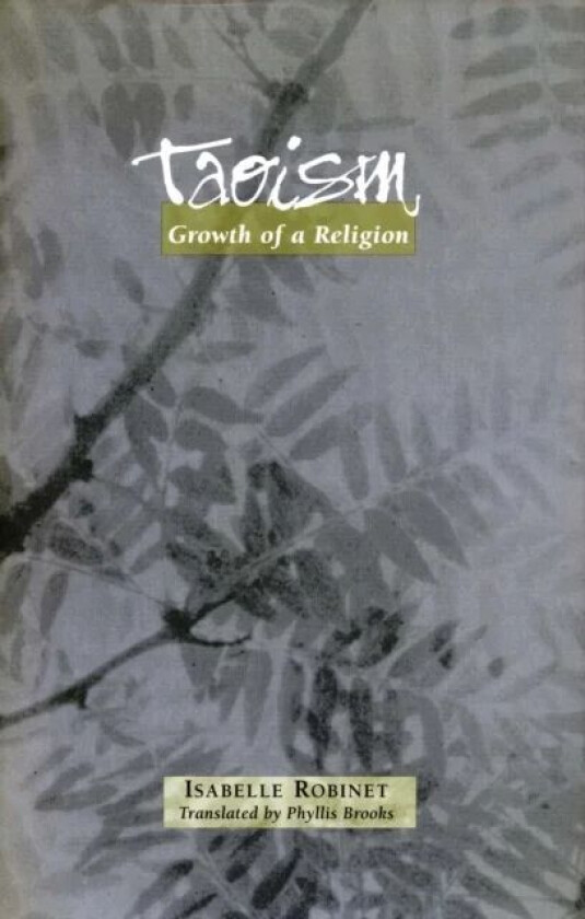 Taoism av Isabelle Robinet