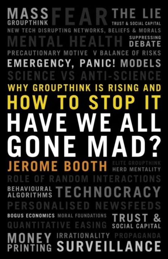 Have We All Gone Mad? av Jerome Booth