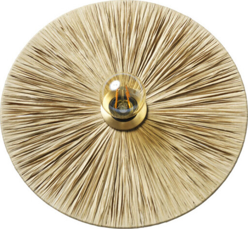 Dott vegglampe, natur