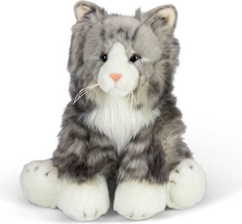 World Of Nature Grå Katt Kosedyr Animigos