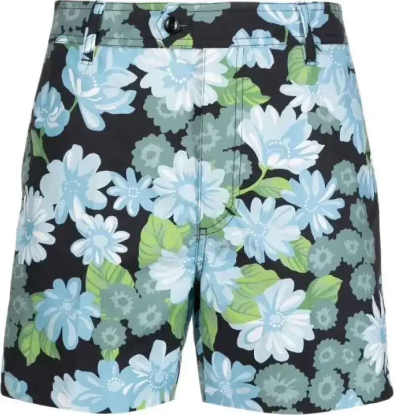 Herre, Shorts, Flerfarget, W31