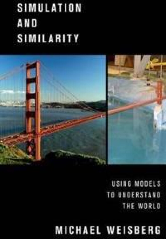 Simulation and Similarity
