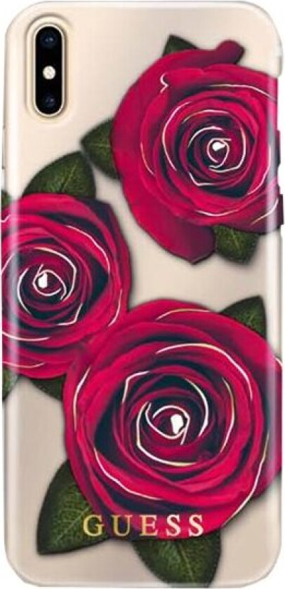 Flower Desire Collection - Baksidedeksel For Mobiltelefon - Gjennomsiktig - For Apple Iphone X, Xs