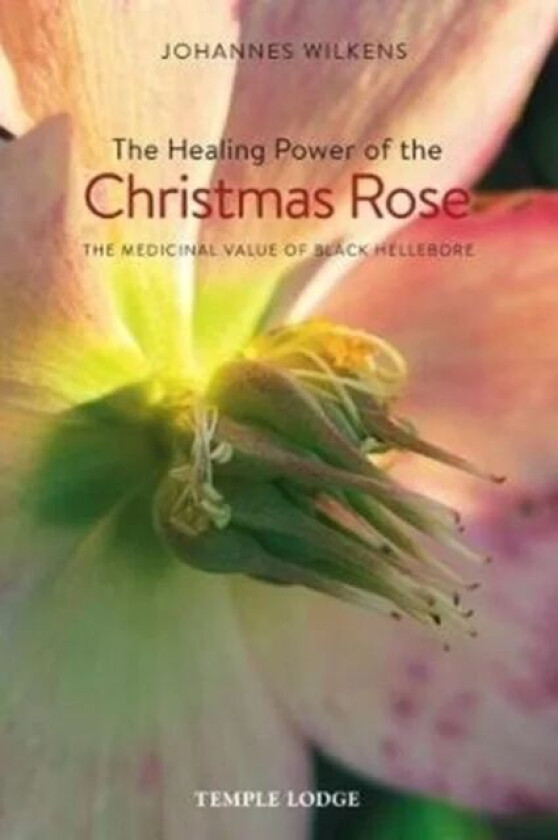 The Healing Power of the Christmas Rose av Johannes Wilkens