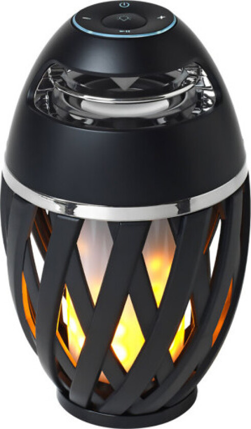 The Flame Elektrisk fakkel, høytaler