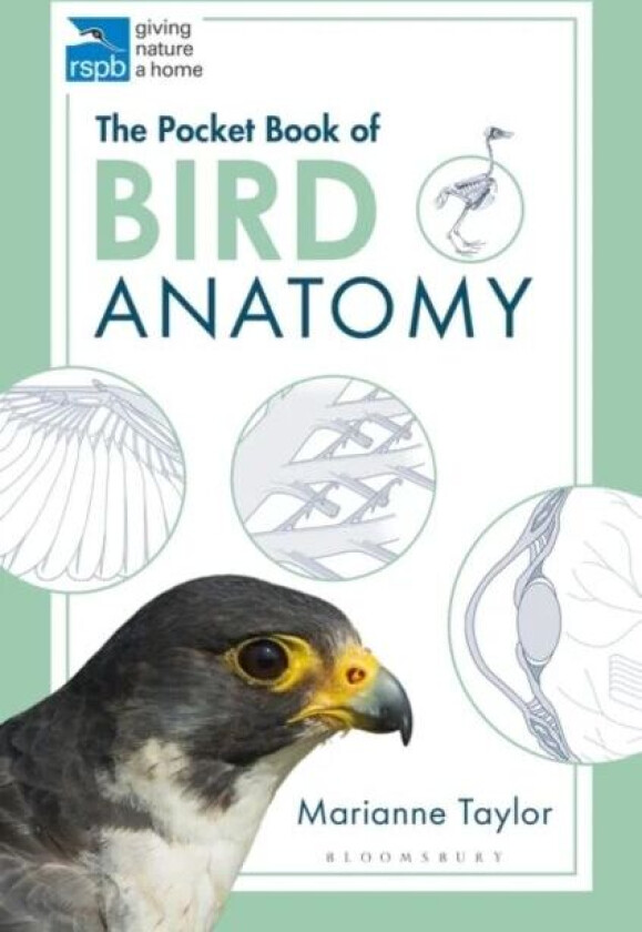 The Pocket Book of Bird Anatomy av Marianne Taylor