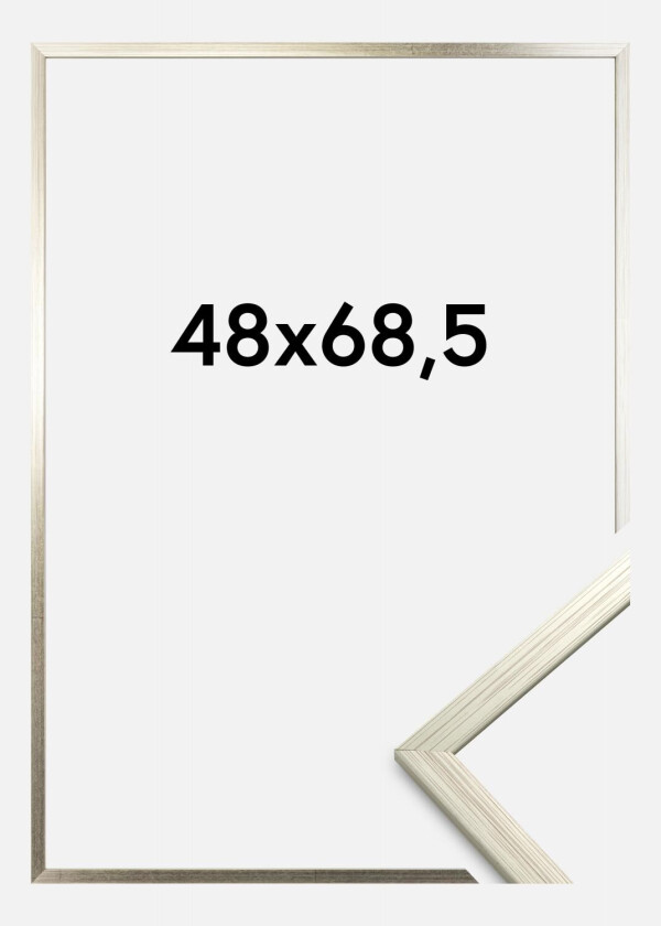 Ramme Edsbyn Akrylglass Sølv 48x68,5 Cm