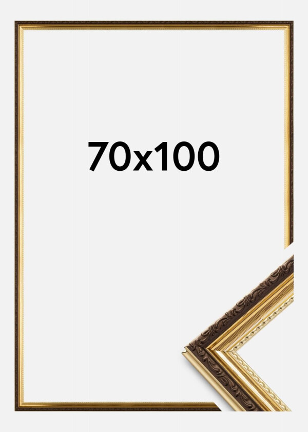 Ramme Abisko Akrylglass Gull 70x100 Cm