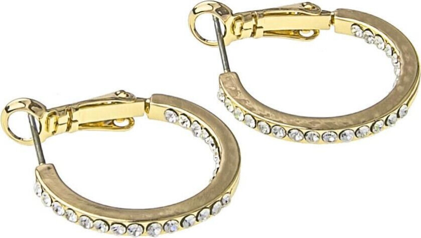 Snö of Sweden Story, Forgylte øredobber