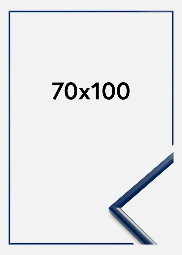 Ramme New Lifestyle Blå 70x100 Cm