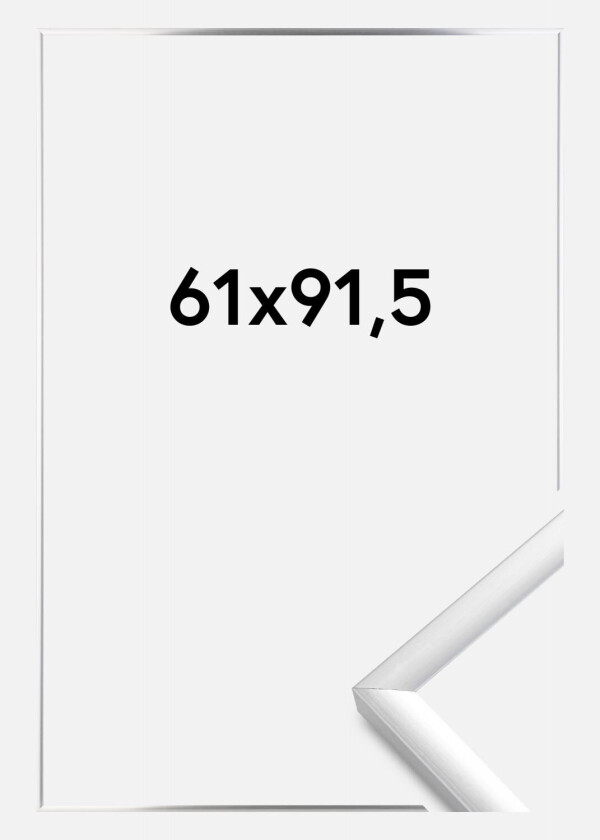 Ramme New Lifestyle Sølv 61x91,5 Cm