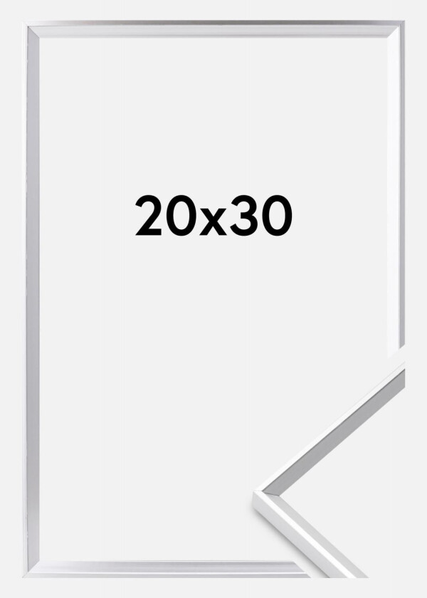 Ramme Desire Akrylglass Sølv 20x30 Cm