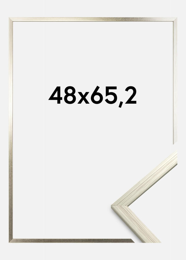 Ramme Edsbyn Akrylglass Sølv 48x65,2 Cm