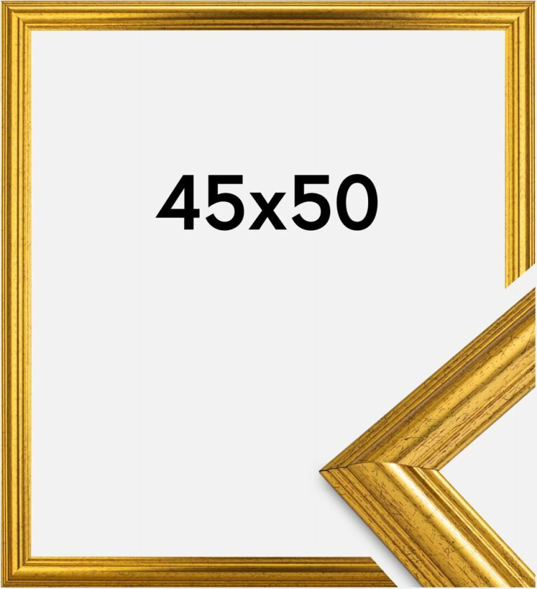 Ramme Västkusten Akrylglass Gull 45x50 Cm