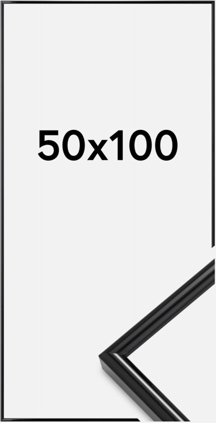 Ramme Galeria Svart 50x100 Cm