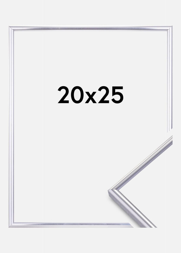 Focus Ramme Can-Can Sølv 20x25 Cm