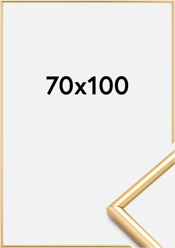 Ramme Decoline Akrylglass Gull 70x100 Cm