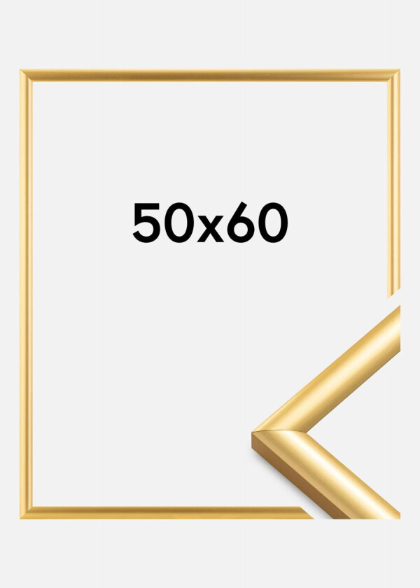 Ramme Trendstyle Gull 50x60 Cm