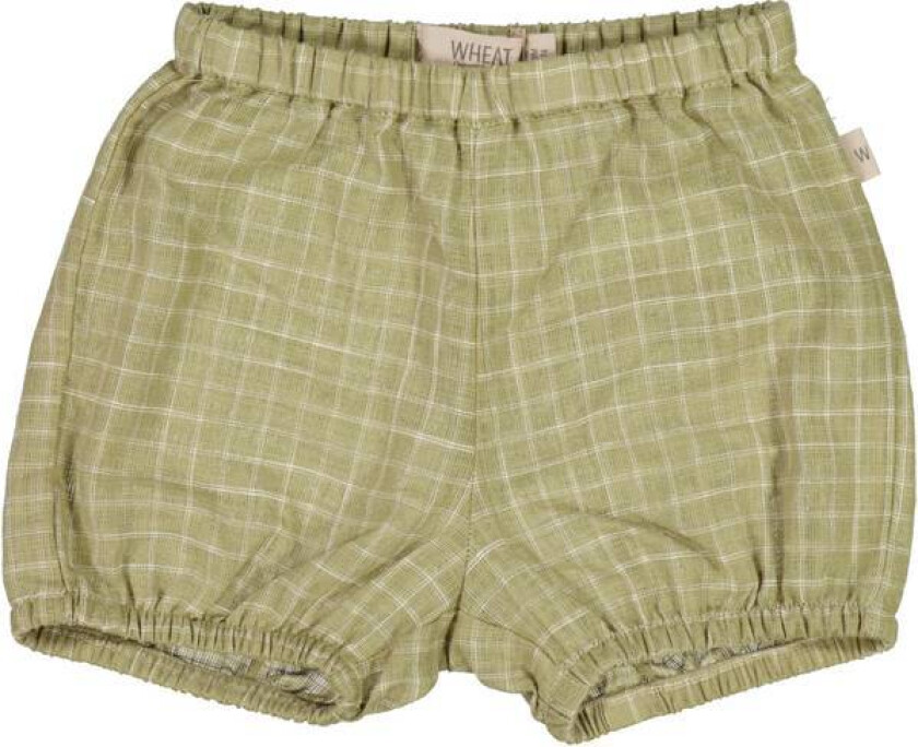 Bilde av Shorts Olly Green Check