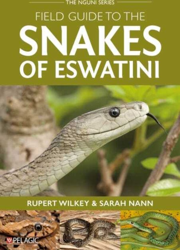 Field Guide to the Snakes of Eswatini