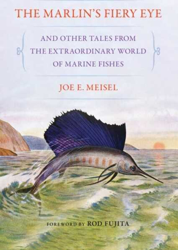 The Marlin's Fiery Eye and Other Tales from the Extraordinary World of Marine Fishes