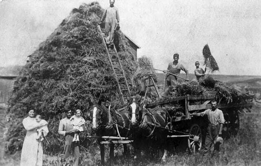 Mrs. Cook and the Klan Booze, Bloodshed, and Bigotry in America’s Heartland