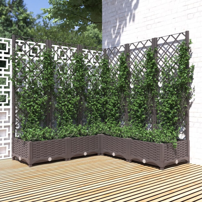 Plantekasse med espalier brun 120x120x121,5 cm PP