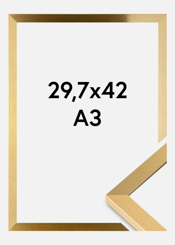 Ramme Selection Akrylglass Gull 29,7x42 Cm (A3)