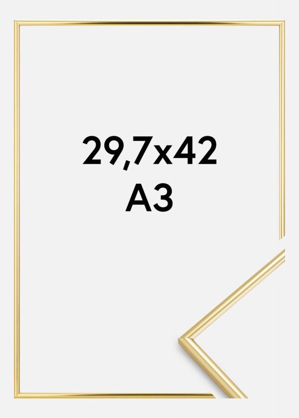 Bilde av Focus Ramme Can-Can Gull 29,7x42 Cm (A3)