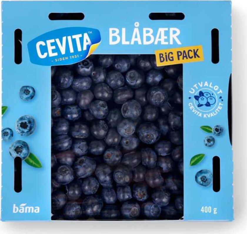 Blåbær