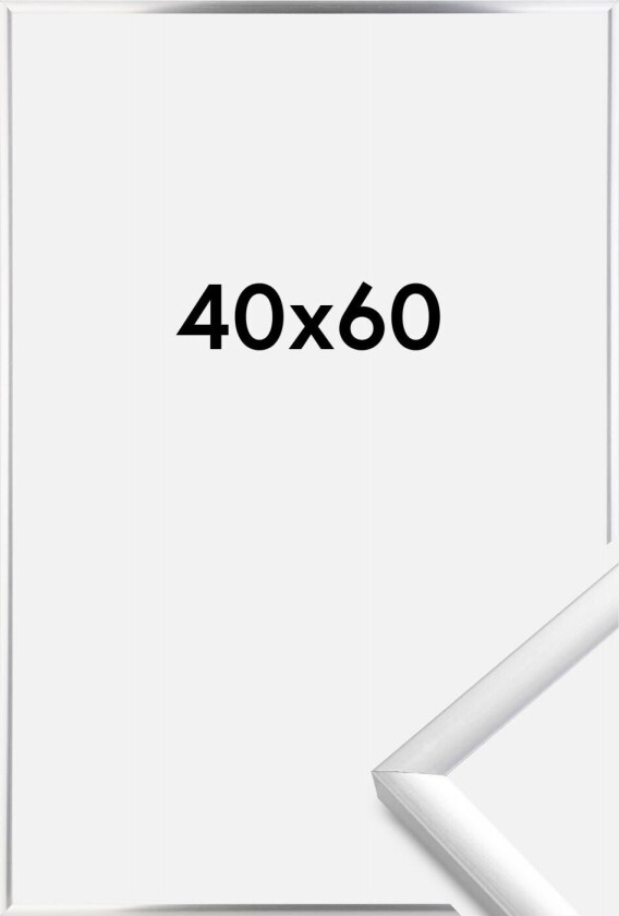 Ramme New Lifestyle Sølv 40x60 Cm