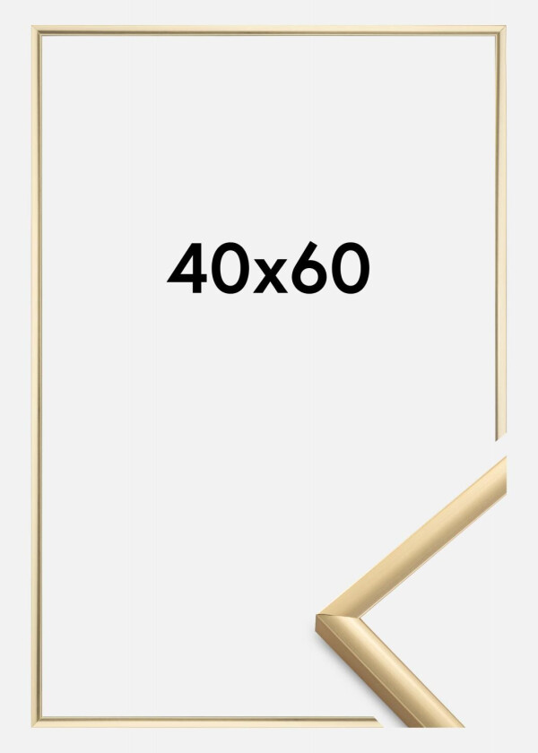 Ramme New Lifestyle Akrylglass Gull 40x60 Cm