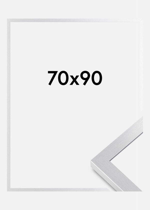Ramme Selection Akrylglass Sølv 70x90 Cm