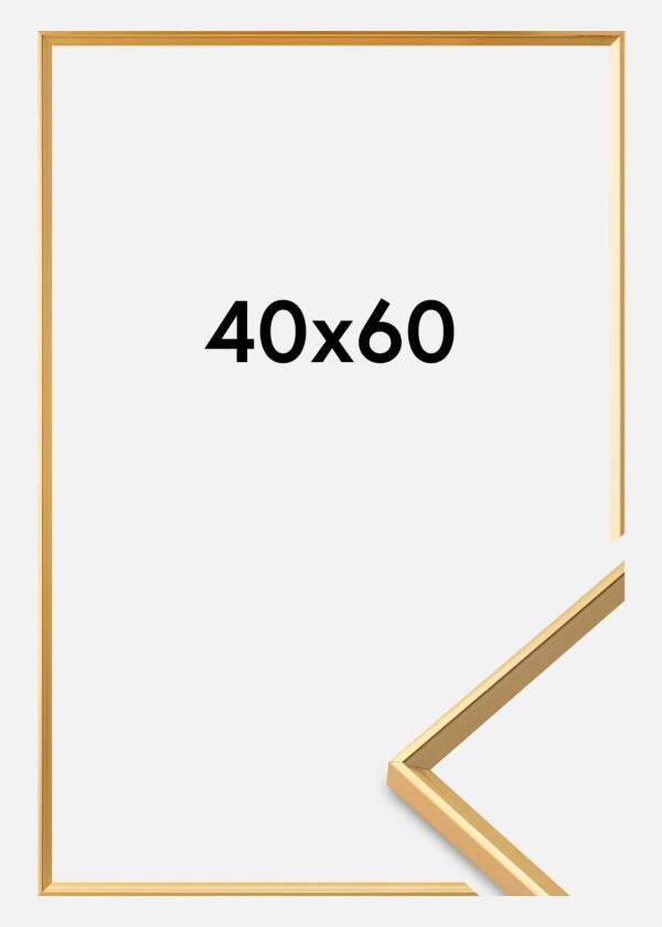 Ramme Desire Akrylglass Gull 40x60 Cm