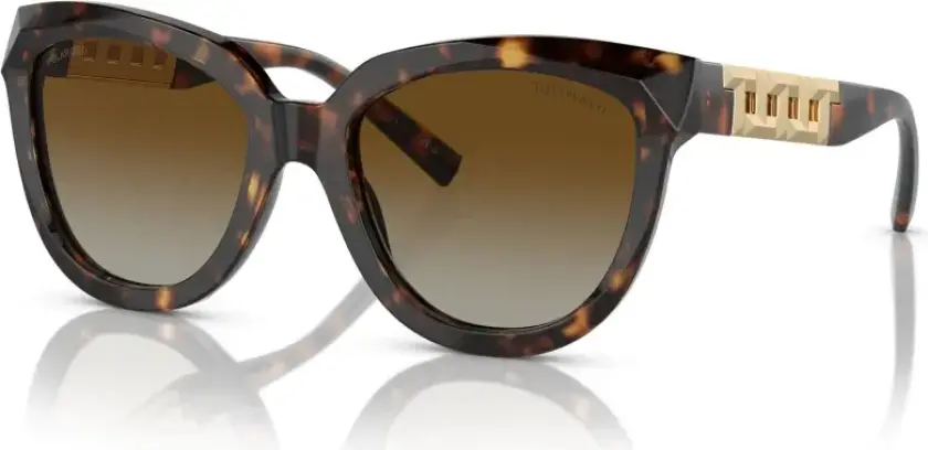 Dame, Accessories, Brun, 53 MM