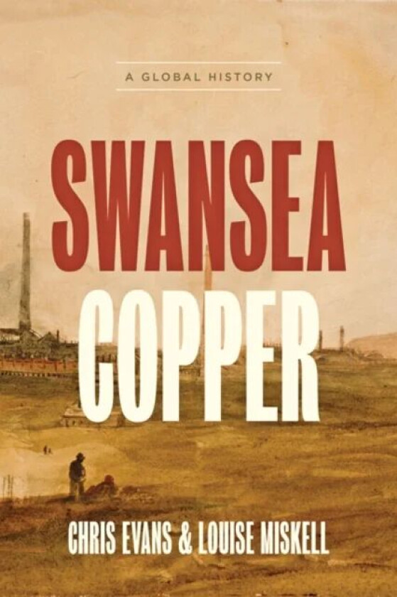 Swansea Copper av Chris (University of South Wales) Evans, Louise (Swansea University) Miskell
